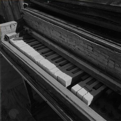 Blackbird