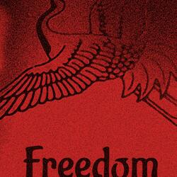 Freedom