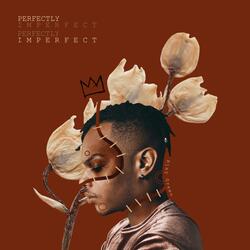 Perfectly Imperfect