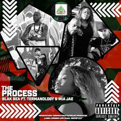 The Process (feat. Termanology & Mia Jae)