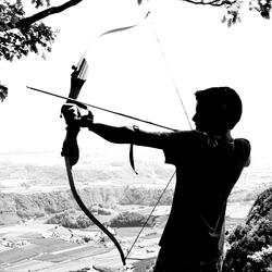 Arrows