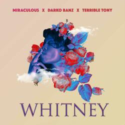 Whitney (feat. Darko Banz & Terrible Tony)