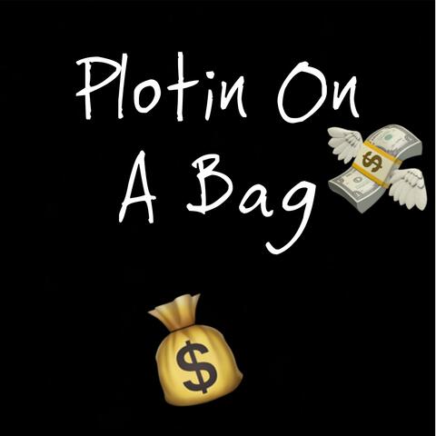 Plotin On A Bag (feat. Salvidaman)