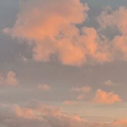 New South Night Sky
