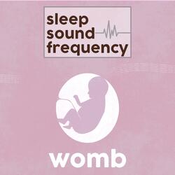 Baby Womb Sound (study and sleep loop)
