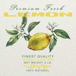 Lemon