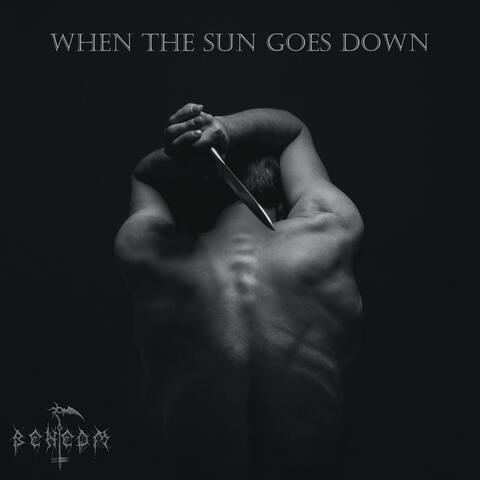 When The Sun Goes Down (feat. Vedrolina & Radu)