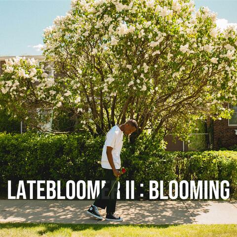 Latebloomer II : Blooming