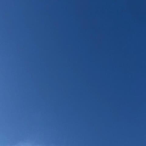 Black and Blue angel