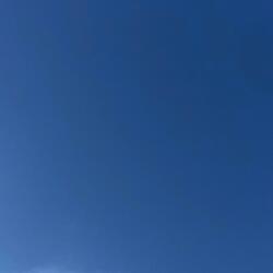 The Love that Resides