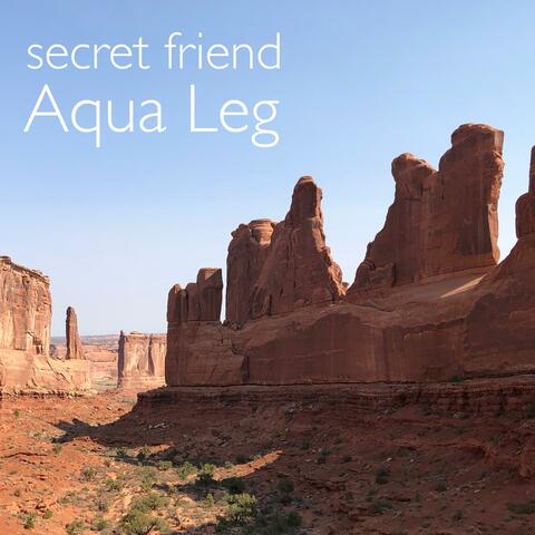 Aqua Leg