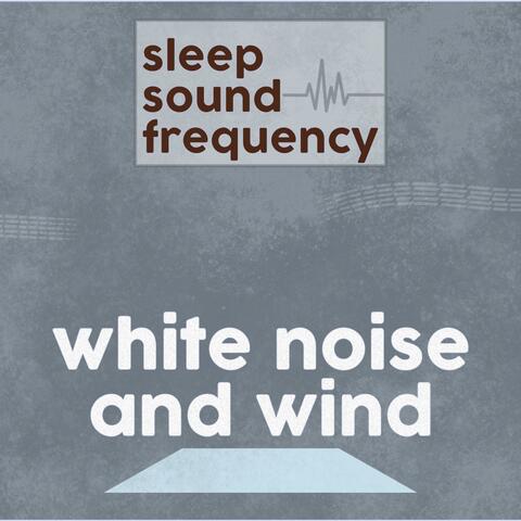 White Noise and Wind (background noise for study, meditation, baby and sleep)