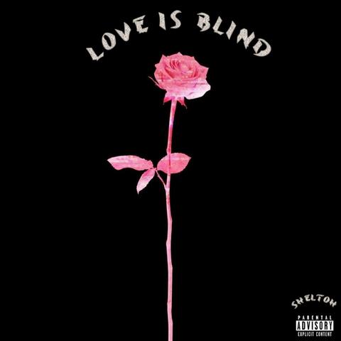 Love Is Blind