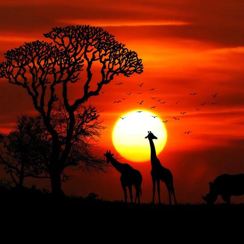African Sunset