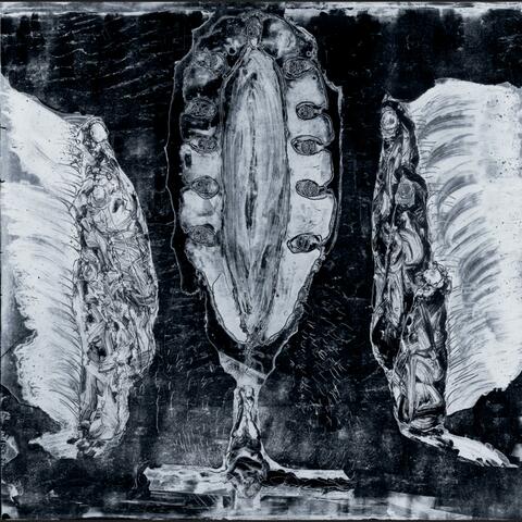 Initiated in Impiety as Mysteries