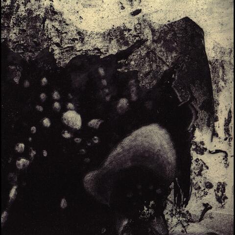 Shifting Transcendental: Autonomous Gate to the Other Side