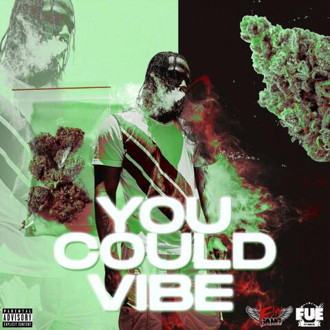You Could Vibe