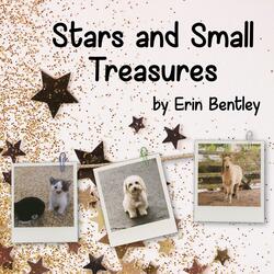Stars and Small Treasures