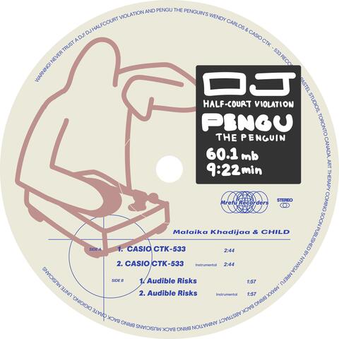 CASIO CTK-533 / Audible Risks