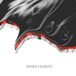 When I Survey