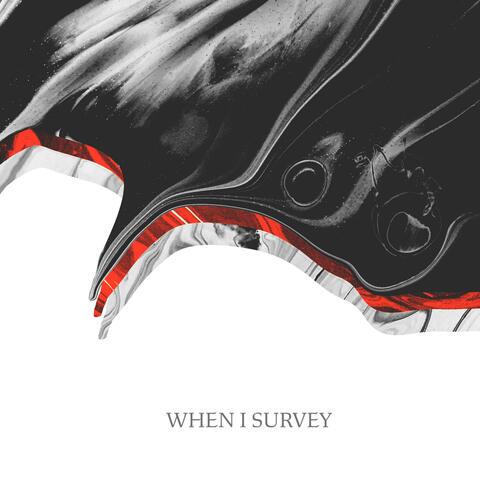 When I Survey