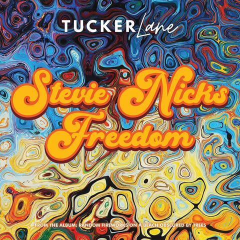 Stevie Nicks Freedom