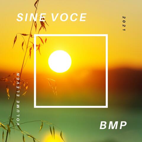 Sine Voce Volume Eleven