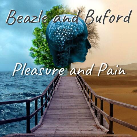 Pleasure and Pain