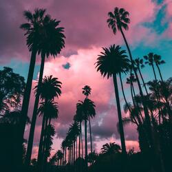 Over My Head
