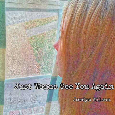 Just Wanna See You Again