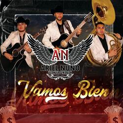 Vamos Bien