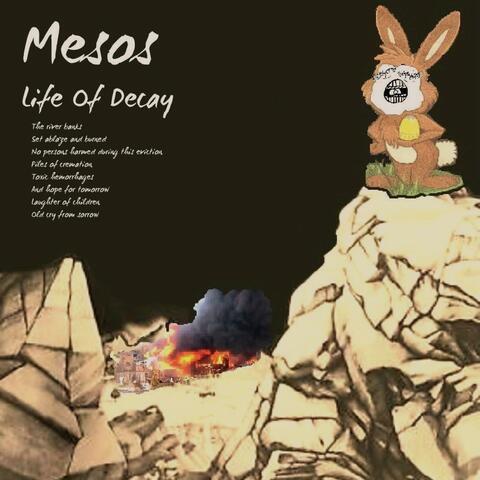 Life Of Decay