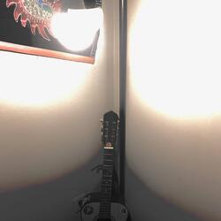 The Light
