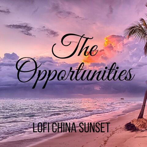 The Opportunities