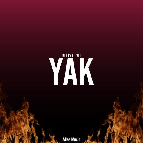 YAK (feat. Vlı)