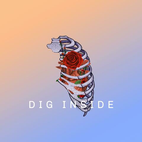 Dig inside