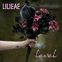 Level