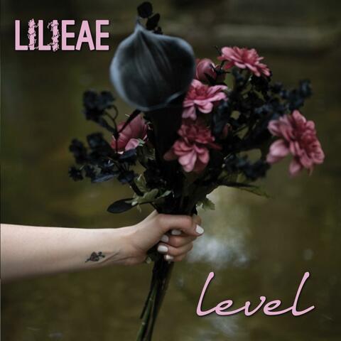 Level
