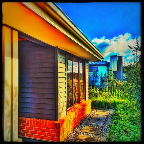 Collection 6: World Wounds