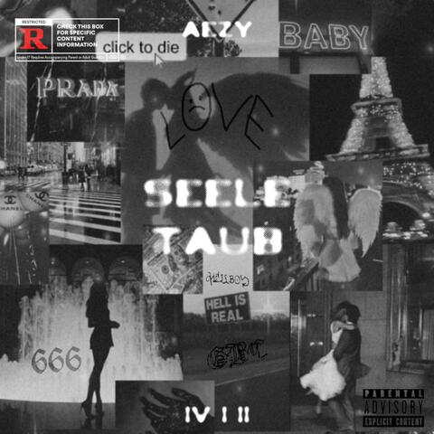Seele Taub (feat. Jay412)