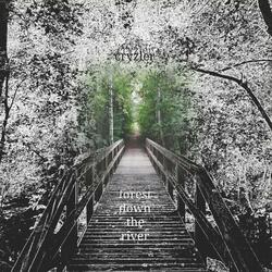 Forest Down the River