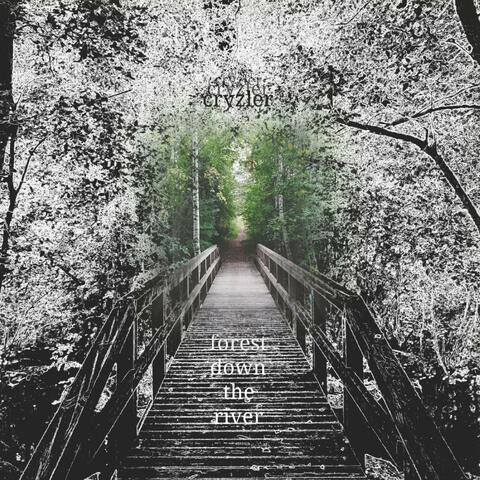 Forest Down the River