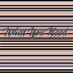 What You Need
