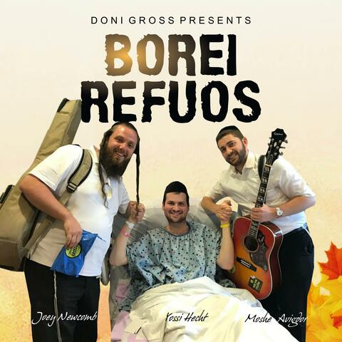 Borei Refuos (feat. Moshe Avigdor & Yossi Hecht)