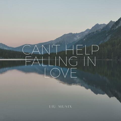 Can't Help Falling In Love (Acoustic Guitar Fingerstyle)