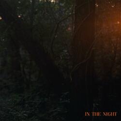 In the Night