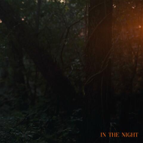 In the Night