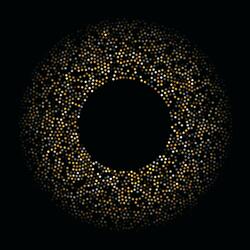 Never Fight A Man With A Perm