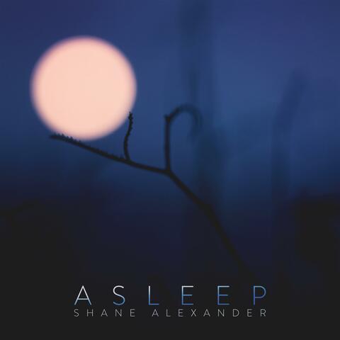 Asleep