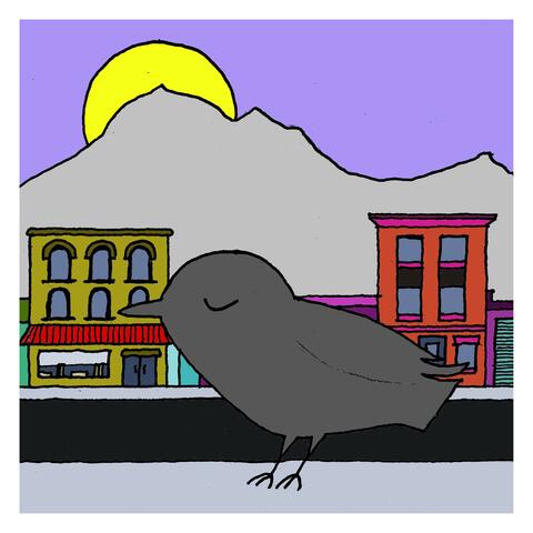 Crow in the City